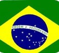 Brasil: “Red de protección y apoyo a la vida en familia”. Gabriela Schreiner y Vicente Pironti, 2004